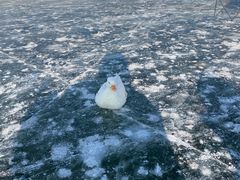 -棋盘山冰雪大世界