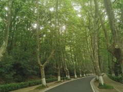 -灵谷景区