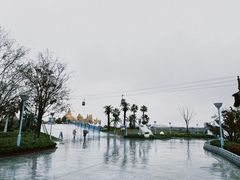 -上海海昌海洋公园