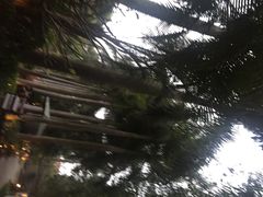 iphone_upload_pic-厦门日月谷温泉渡假村