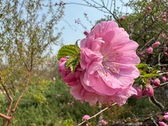 -元大都城垣遗址公园