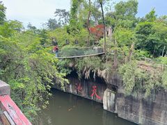 -千岛湖东南湖区