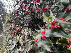 -狼山风景名胜区