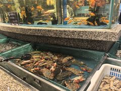 -初色海鲜自助(万丰路店)