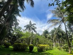 -西双版纳傣族园