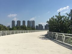 -南京眼步行桥