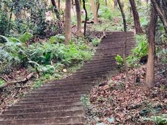 -滴水岩森林公园