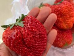 -道里菜市场