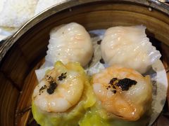 -糖朝(尖沙咀店)