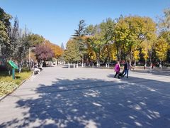 -古城公园