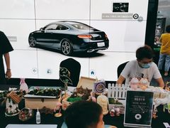 -奔驰上海利星(七宝店)