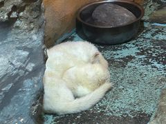 -青藏高原野生动物园