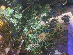 -绿茶餐厅(汇悦大融城店)