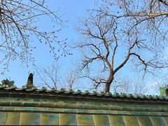 -历代帝王庙博物馆