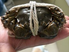 -阳澄湖大闸蟹·琼灵阁牌品牌连锁(吴中总店)