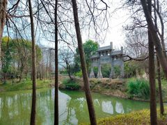 -西溪国家湿地公园