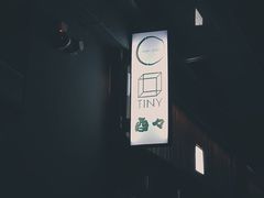 -TINY