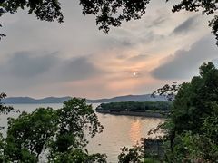 -上海市保健医疗中心