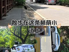 -东莞市大岭山森林公园
