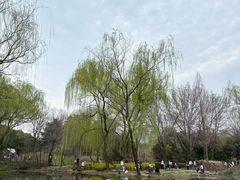 -郑州植物园
