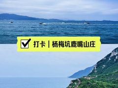 -鹿嘴山庄