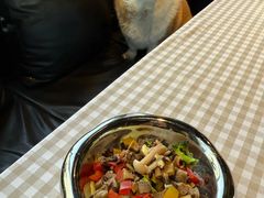 -百好乐宠物友好餐厅(朝外大街店)