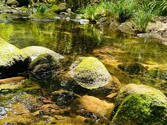 -海南热带雨林国家公园吊罗山景区