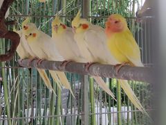 -瑞博尔花园酒店(太周创新产业园店)