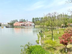 -上海长兴岛郊野公园