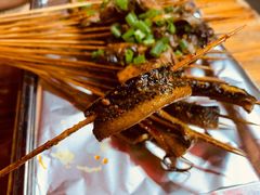 鳝鱼-晓靖轩烧烤(沙河风情店)