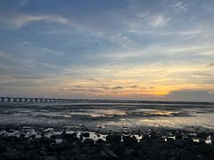 -宝安西湾红树林湿地公园