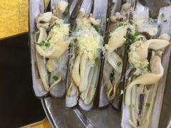爱尔兰圣子皇-蚝专家(北滘店)