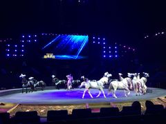 -珠海横琴长隆《卡卡虎奇遇记》