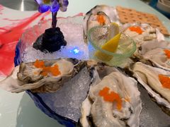 法式刺身生蚝-千岛蚝高压锅生蚝·人参火锅(白云万达店)