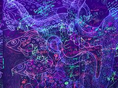-新加坡海洋生态馆
