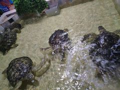 -常州海昌海洋探索馆