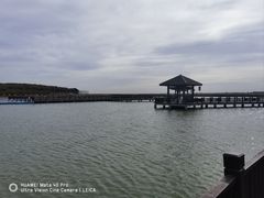 -南大港湿地风景区