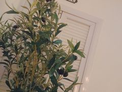 -Catail前苑(前门大街店)