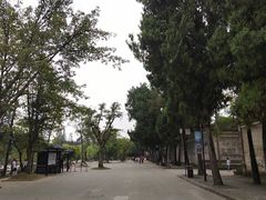 -安仁古镇