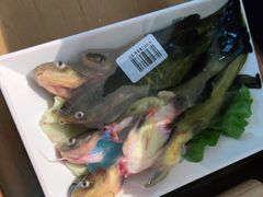-野妹火锅(龙岗店)
