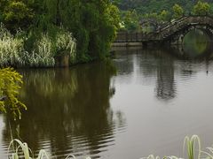 -张坝桂圆林公园