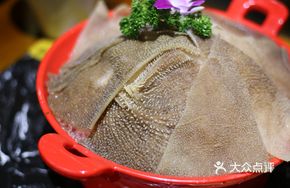 Fresh Beef Tripe