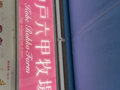 -神户六甲牧场(北野本店)