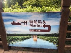 -大湾区中央湿地公园