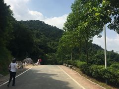 -火炉山森林公园