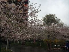 -鲁迅公园