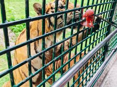 -深圳野生动物园