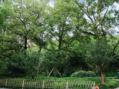 -西湖风景区十里琅珰-五云山