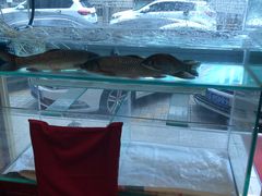 -北京小肠陈饭庄(方庄店)