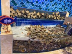 水产区-乔哥铭洋海鲜自助(皇城恒隆广场店)